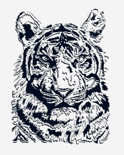TigerRr