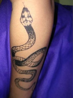 Serpiente