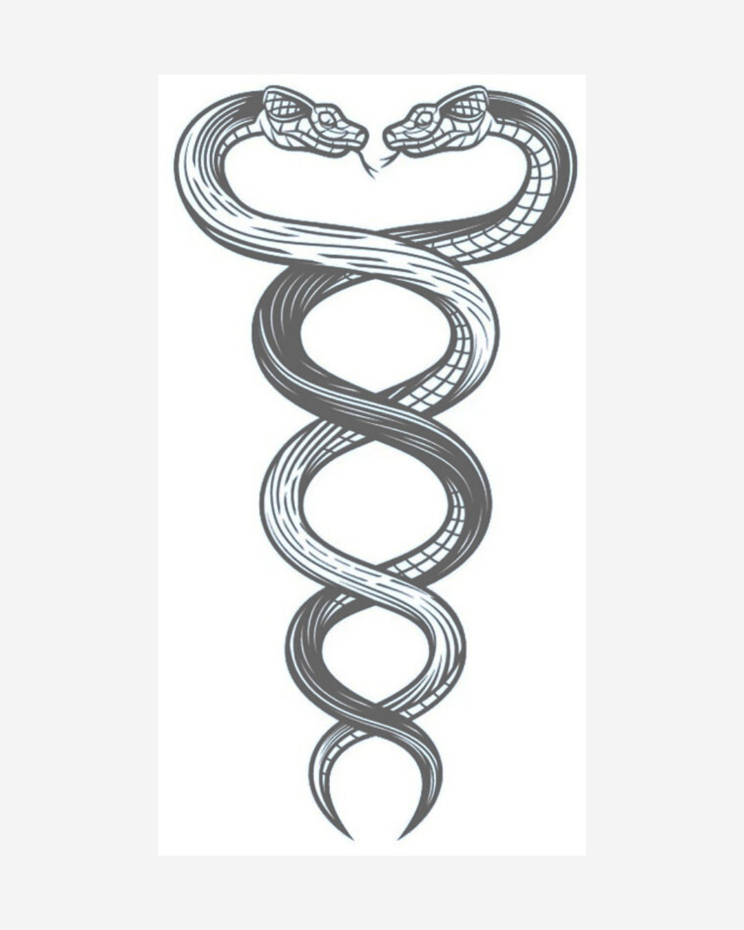 Equilibrio de serpientes_2