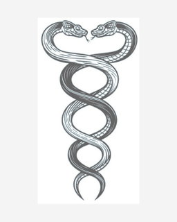 Equilibrio de serpientes