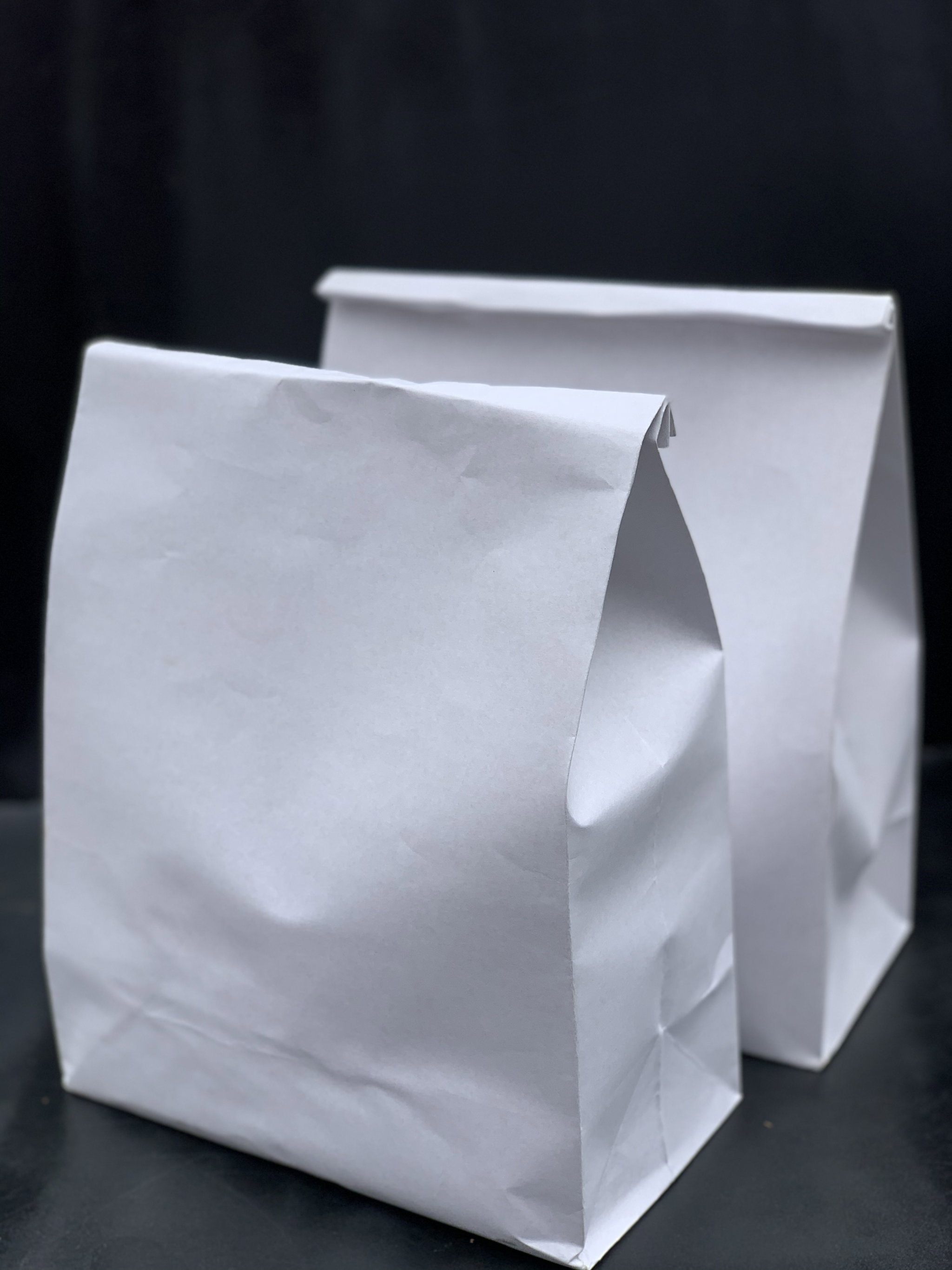 PLAIN WHITE DELIVERY TAKEOUT BAGS - 6 SIZES/ RETAIL_3