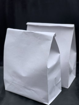 PLAIN WHITE DELIVERY TAKEOUT BAGS - 6 SIZES/ RETAIL