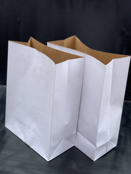 PLAIN WHITE DELIVERY TAKEOUT BAGS - 6 SIZES/ RETAIL