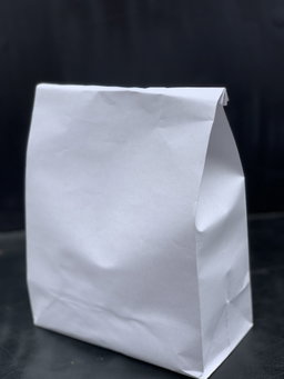 PLAIN WHITE DELIVERY TAKEOUT BAGS - 6 SIZES/ RETAIL