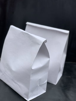 PLAIN WHITE DELIVERY TAKEOUT BAGS - 6 SIZES/ RETAIL