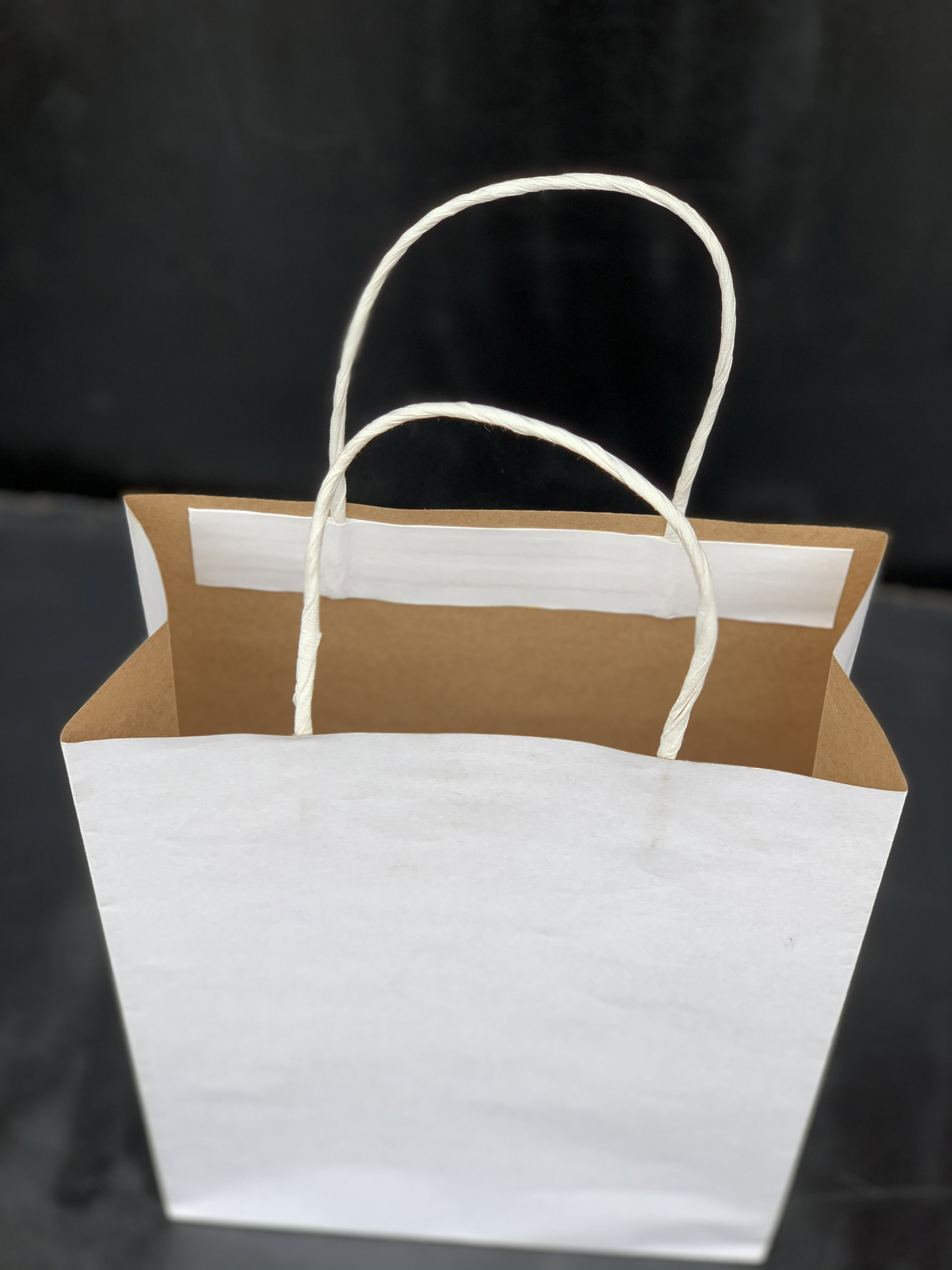 PLAIN WHITE DELIVERY CARRIER BAGS - 6 SIZES/RETAIL_8