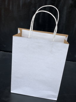 PLAIN WHITE DELIVERY CARRIER BAGS - 6 SIZES/RETAIL