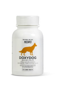 Doxydog & Doxysyrup_2