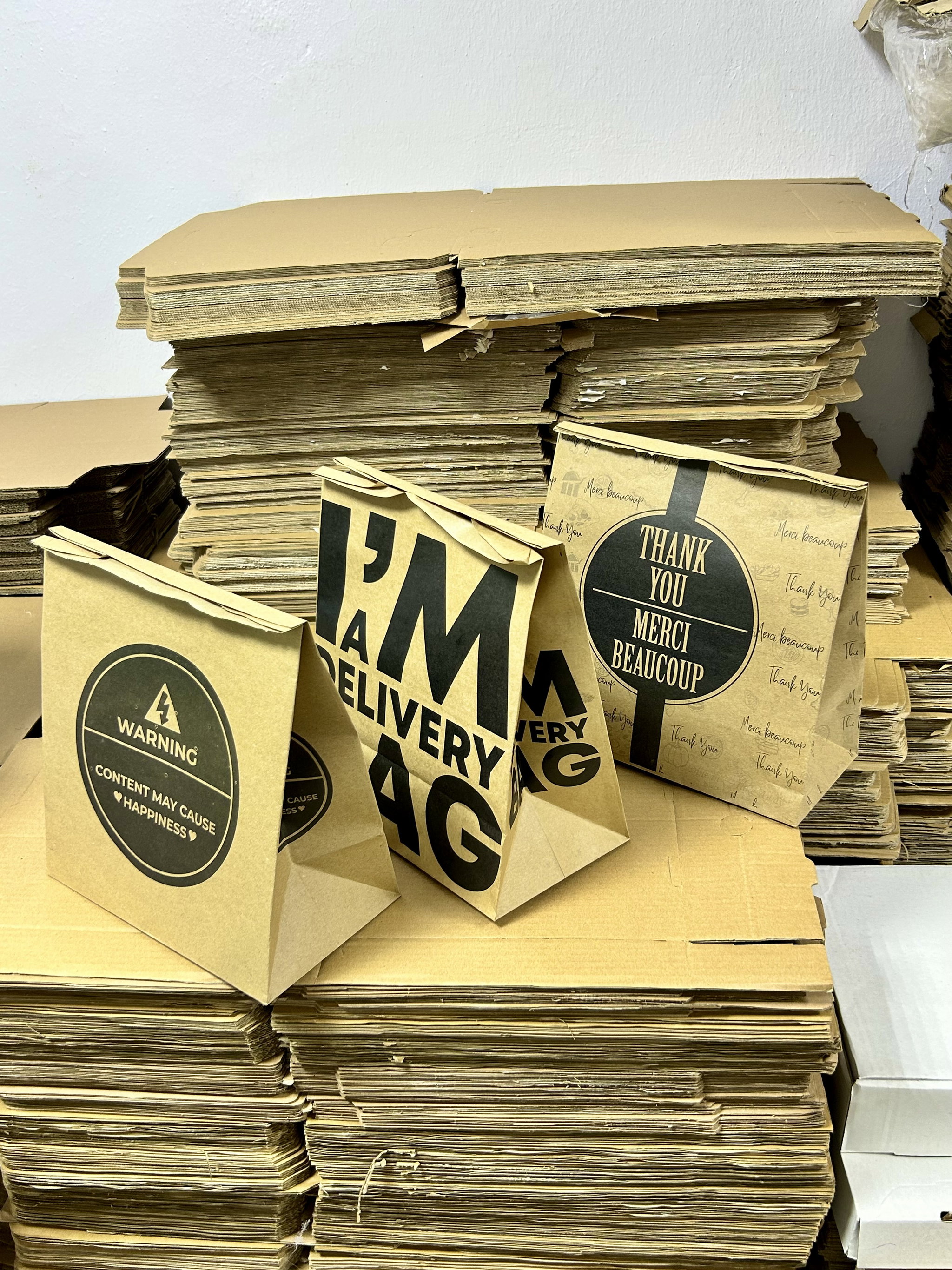 “I’M A DELIVERY BAG”  TAKEOUT BAGS - 2 SIZES/RETAIL_2