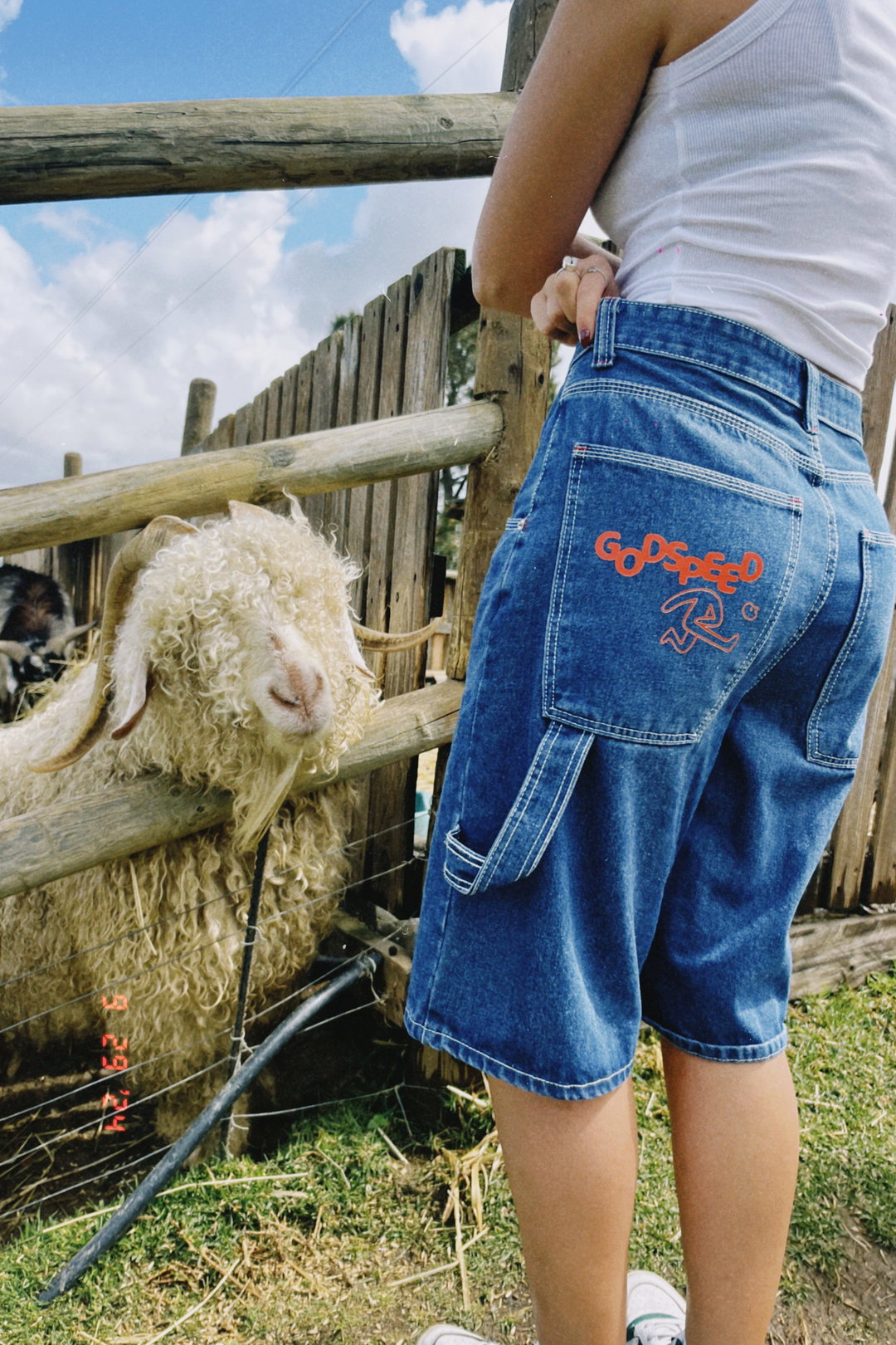 Jorts