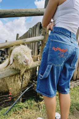 Jorts