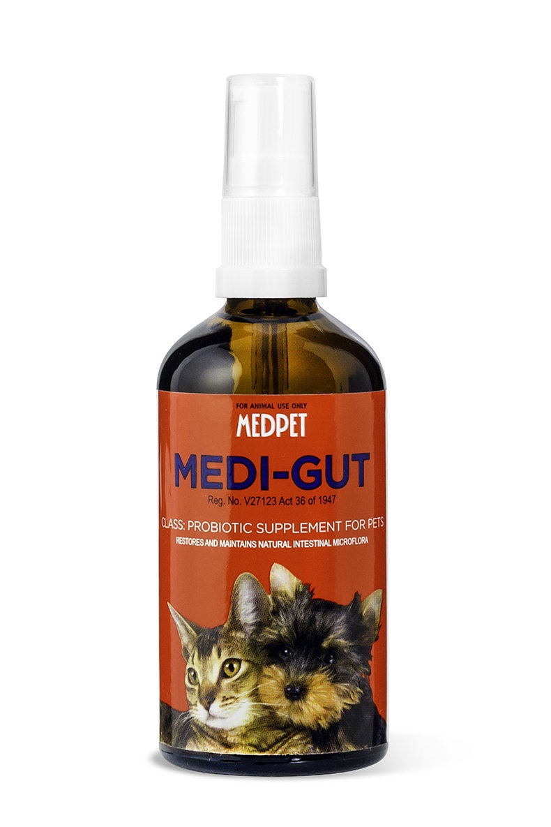 Medi-Gut 100ml