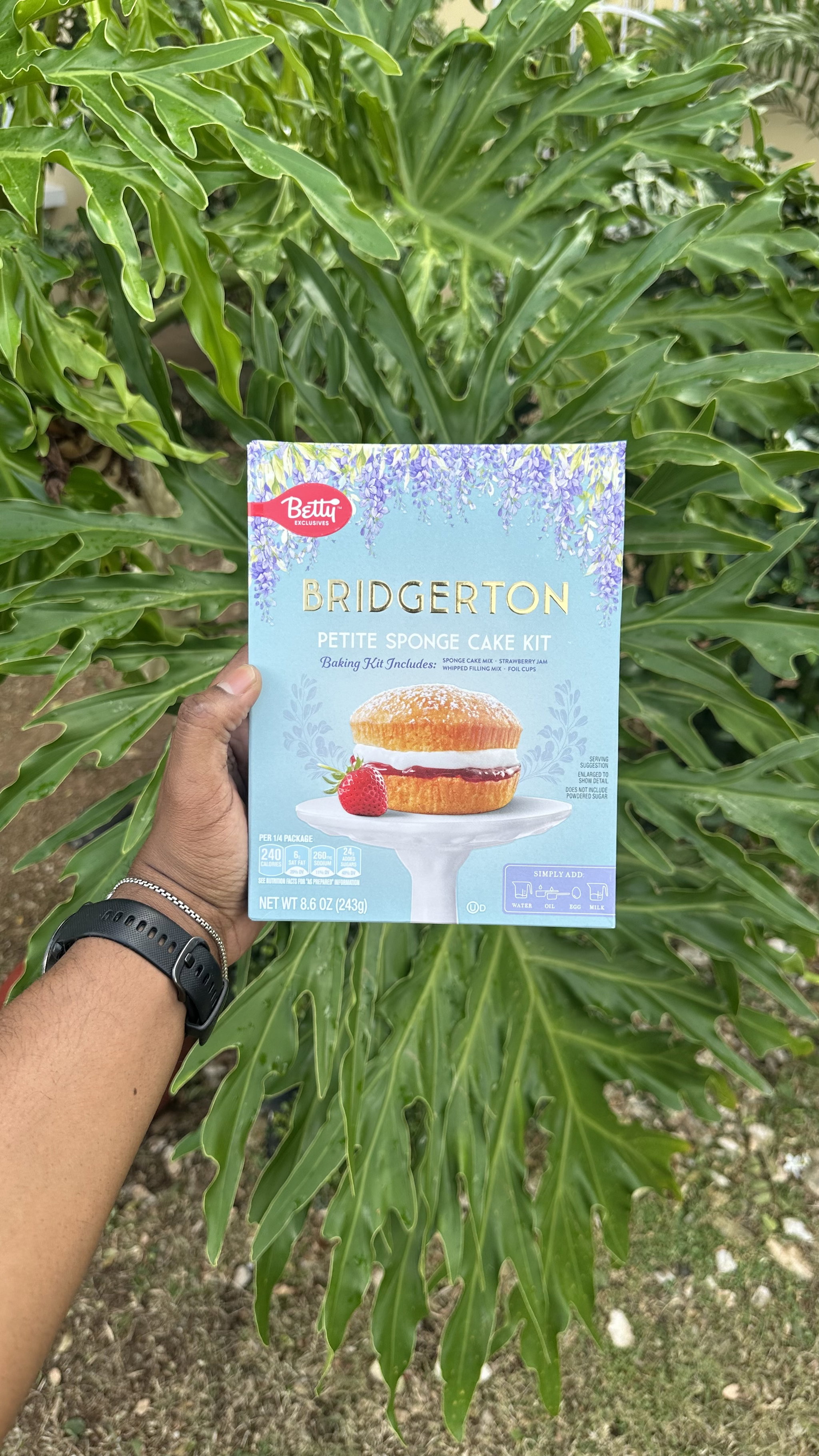 Bridgerton Petite Sponge Cake Mix_0