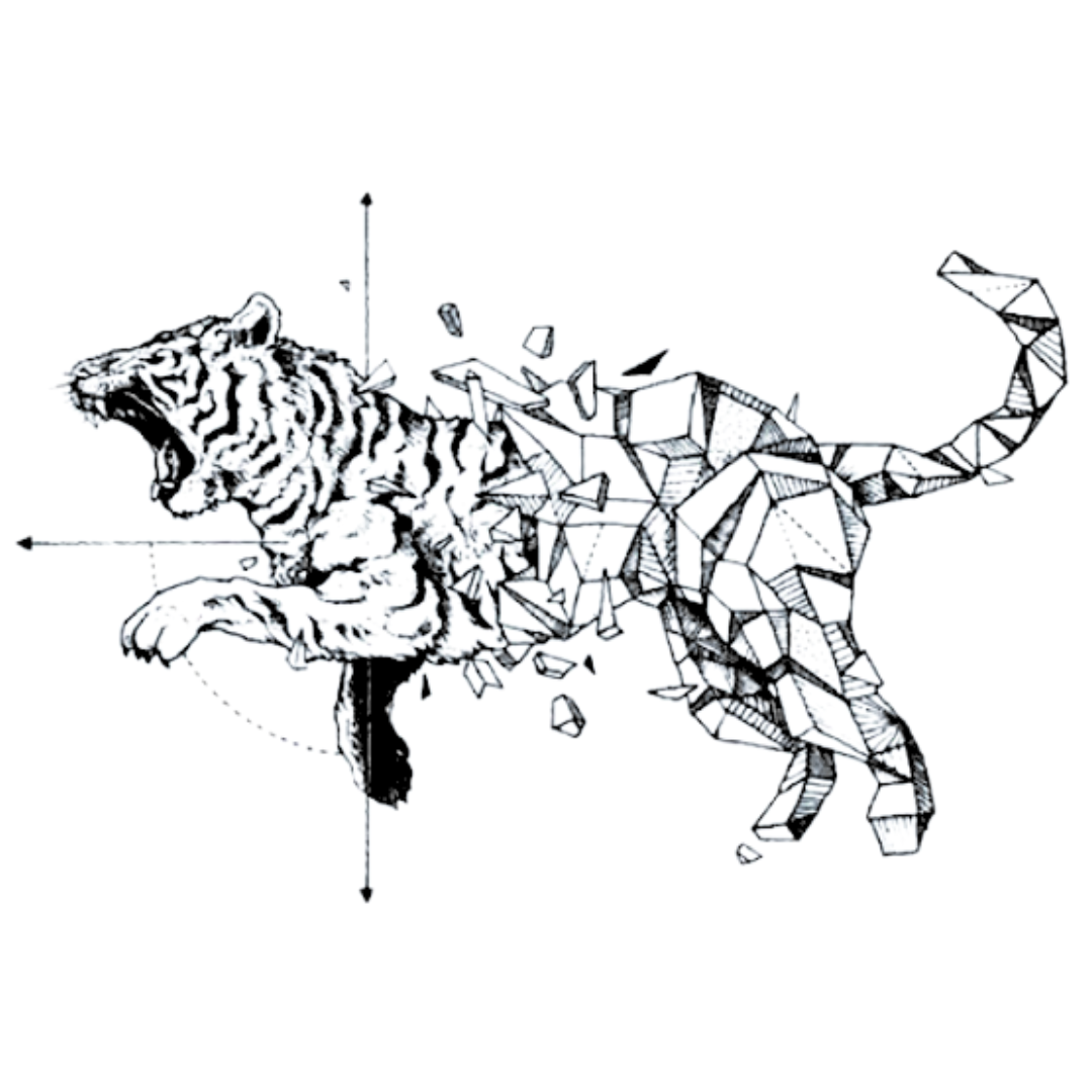 Tigre desintegrado_2