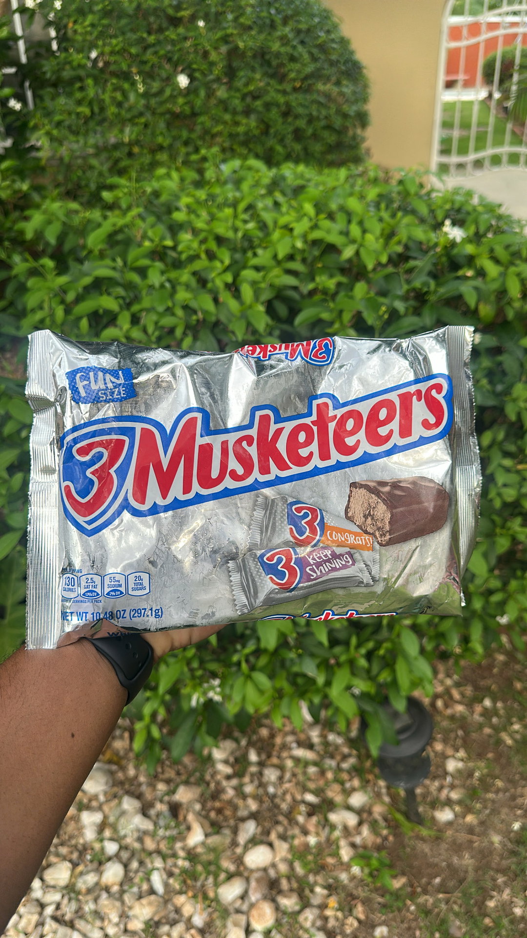 3 Musketeers Fun Size