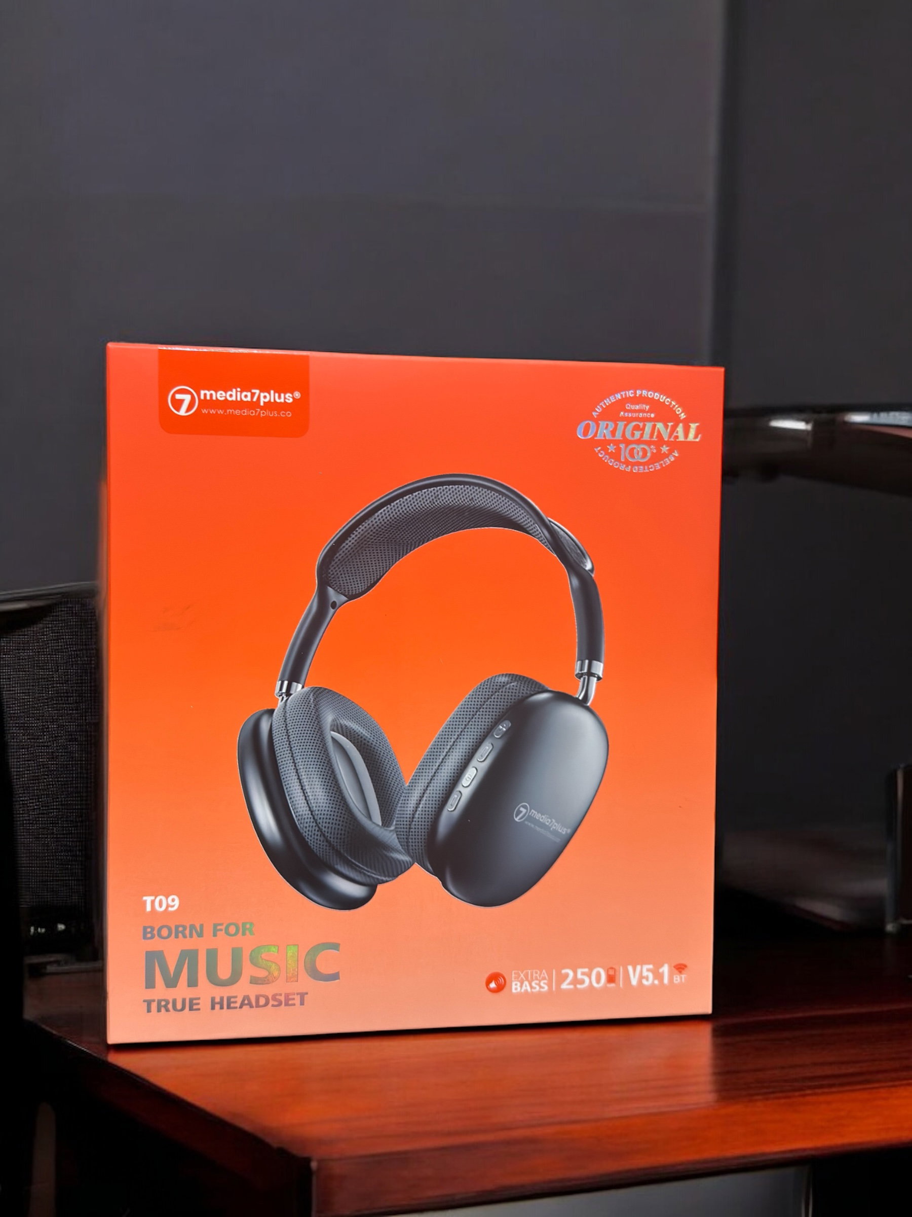T09 (casque bluetooth)_2