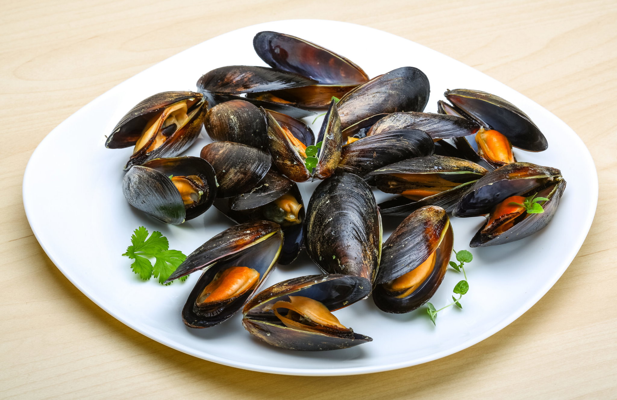 Whole Shell Mussels 908g_0
