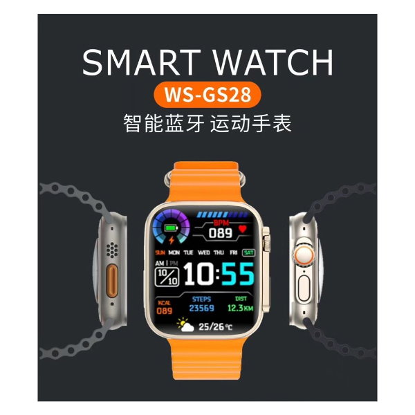 WSTER MONTRE SMART WS-GS28
