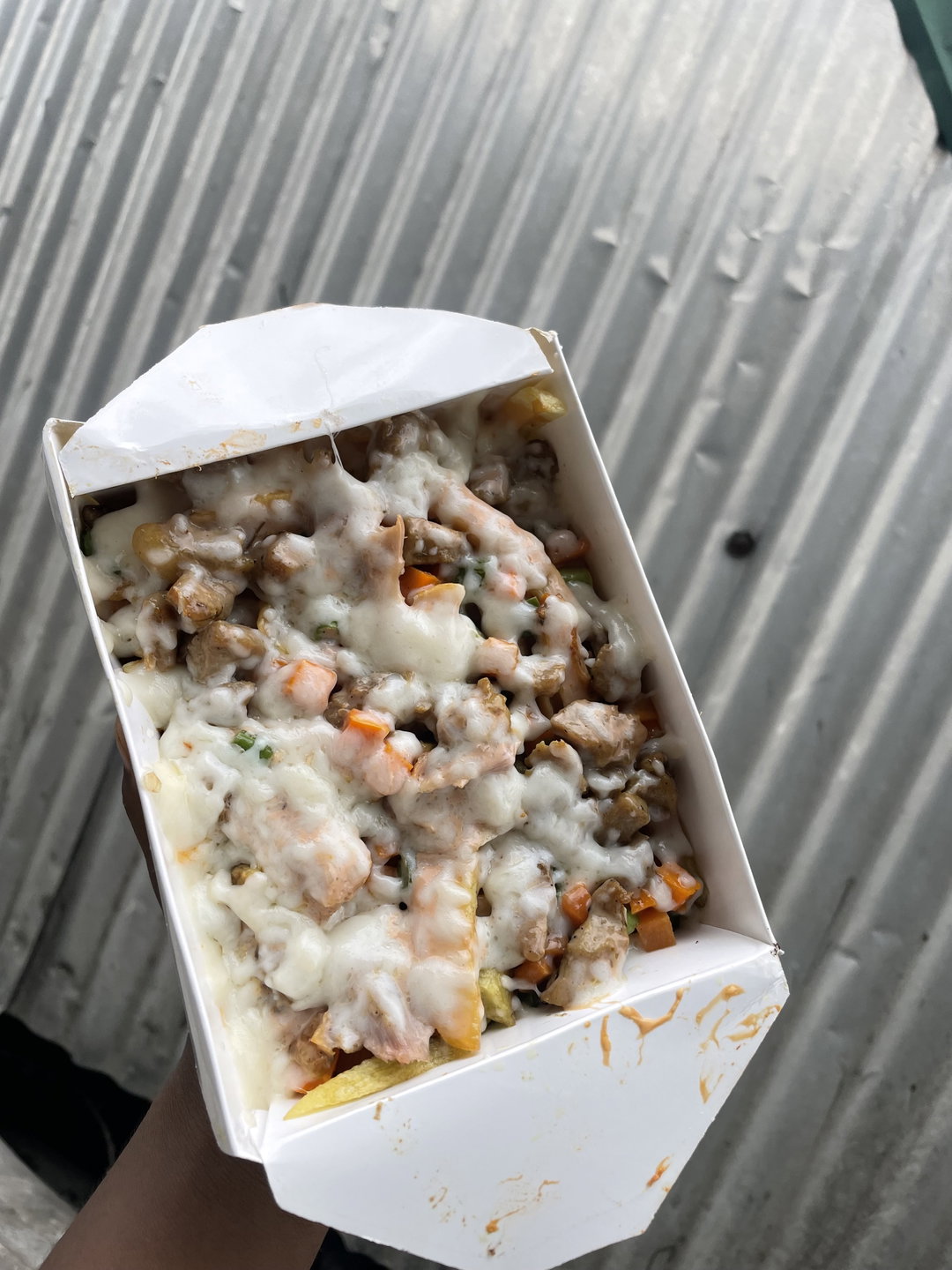 Loaded Fries 