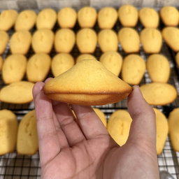 Lemon Madeleine