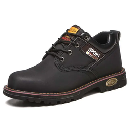 Safety Shoe 806