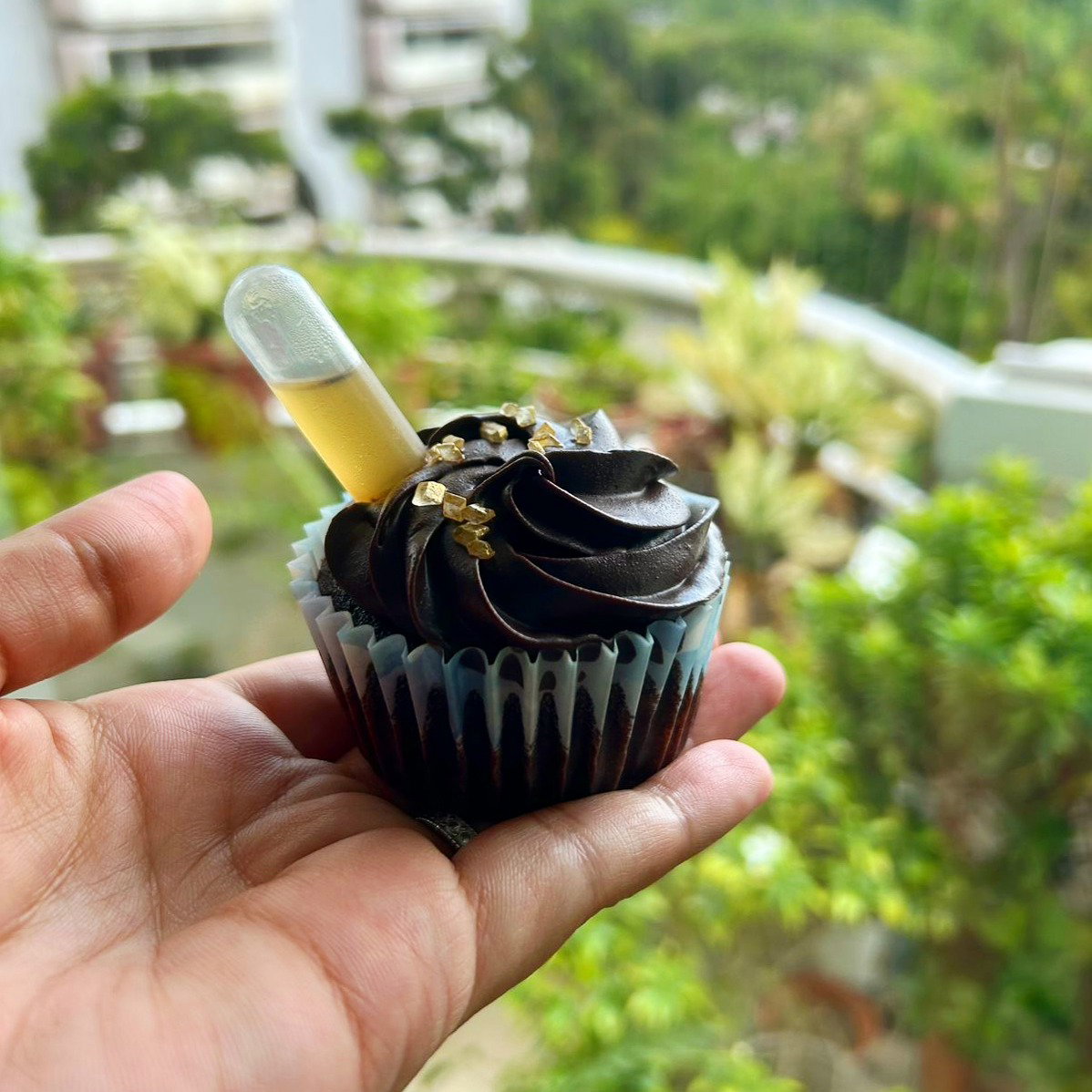 Liqueur/Whiskey Ganache Cupcakes (Box of 6)_1