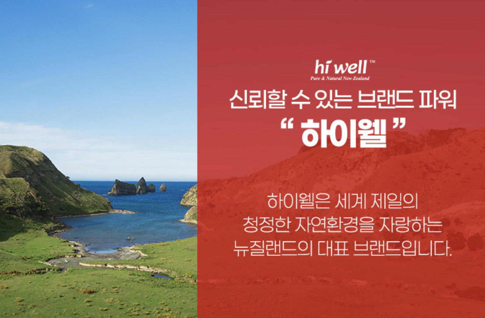 [면역] 하이웰 프로폴리스 6000 (150정 / 5개월분) | [Immune Health] *Hiwell* Propolis_1