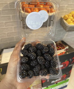 Fresh blackberries X 1 PACK