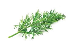 Dill 