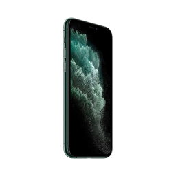 iPhone 11 Pro (256GB)