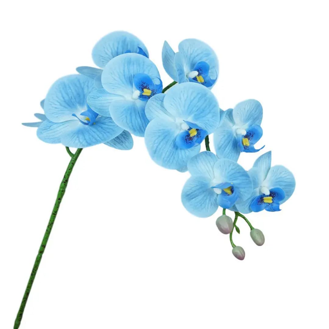 Boquês para Decoração 5 Ramos (Cor á Escolher no Whatssap)