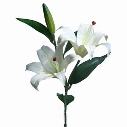 Boquês/Flores para Decoração  5 Ramos