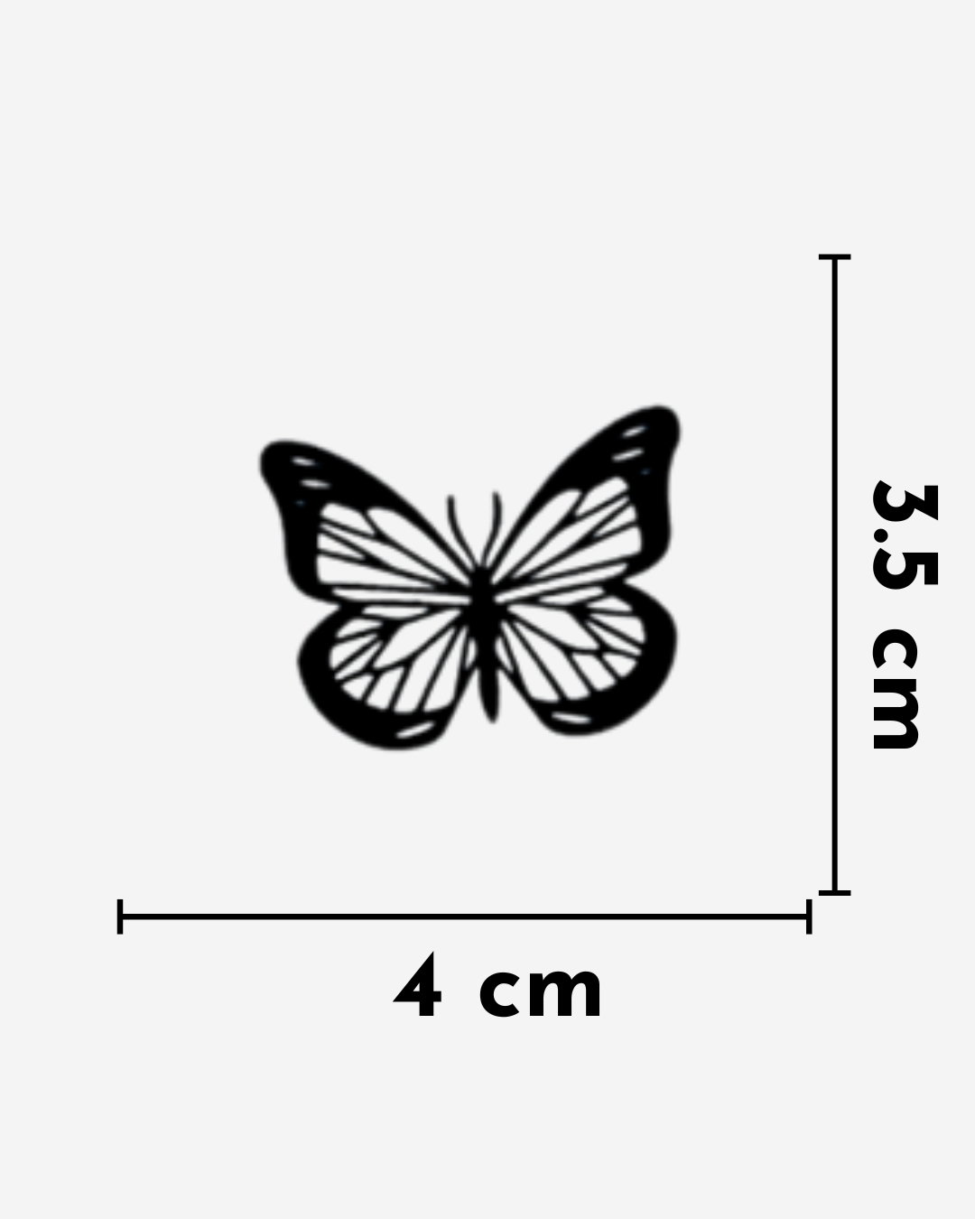 fly