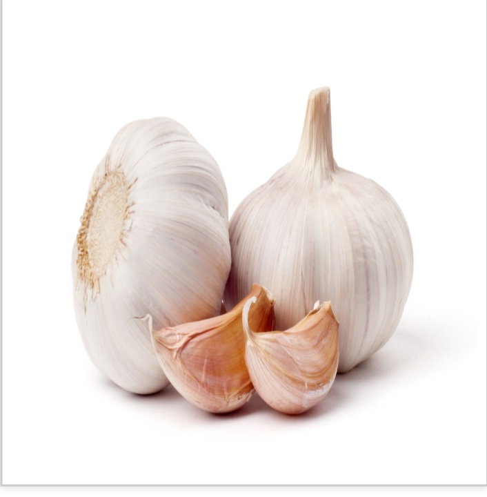 Garlic  வெள்ளைப்பூடு