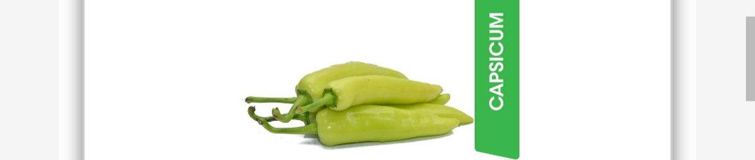 Big green chilli  பெரிய பச்சை மிளகாய்_0
