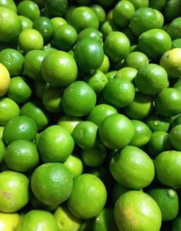 A fruit