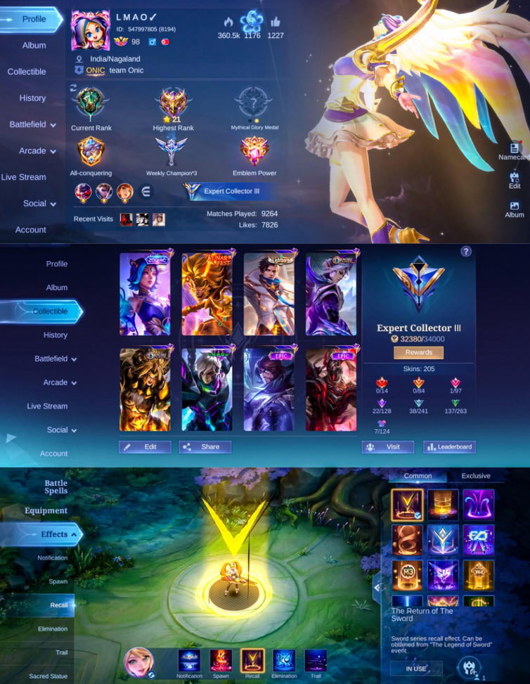 [Max Hero + Emblem] 205 Skins_0