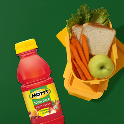 Jugo Mott, botellas de 8 fl oz, paquete de 6