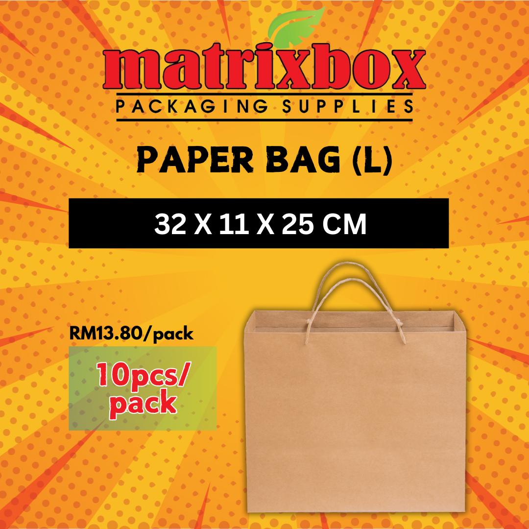 Brown Paper Bag (L)_0