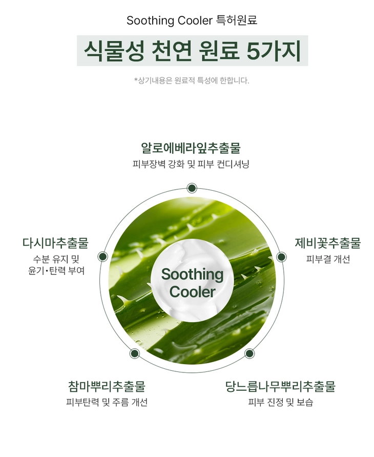 [비건인증] 쿨링(Cooling) 썬크림 SPF50 PA++++ 무자극 (50ml) | [Vegan] Cooling Sunscreen_5