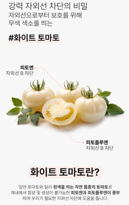 [비건인증] 톤업 썬크림 SPF50 PA++++ 무자극 (50ml) | [Vegan] Tone-up Sunscreen