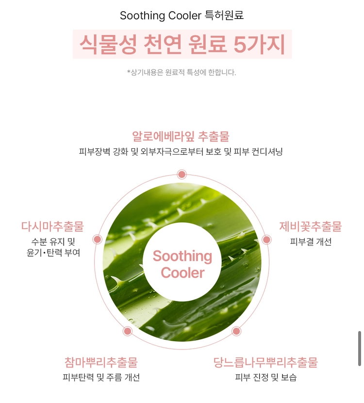 [비건인증] 톤업 썬크림 SPF50 PA++++ 무자극 (50ml) | [Vegan] Tone-up Sunscreen_5