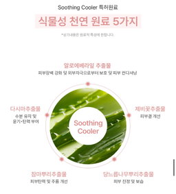 [비건인증] 톤업 썬크림 SPF50 PA++++ 무자극 (50ml) | [Vegan] Tone-up Sunscreen