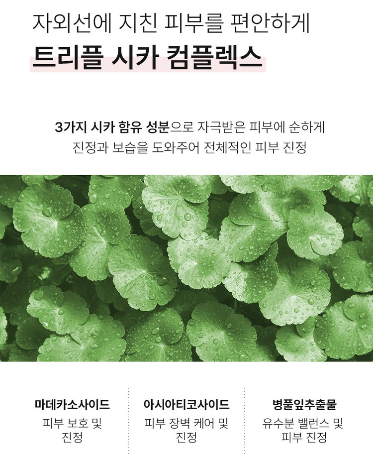 [비건인증] 톤업 썬크림 SPF50 PA++++ 무자극 (50ml) | [Vegan] Tone-up Sunscreen_6