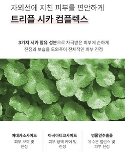 [비건인증] 톤업 썬크림 SPF50 PA++++ 무자극 (50ml) | [Vegan] Tone-up Sunscreen