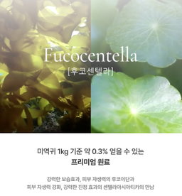 [비건인증] 세럼 인 쿠션 SPF38 PA++ | [Vegan] Serum-in Cushion SPF38 PA++