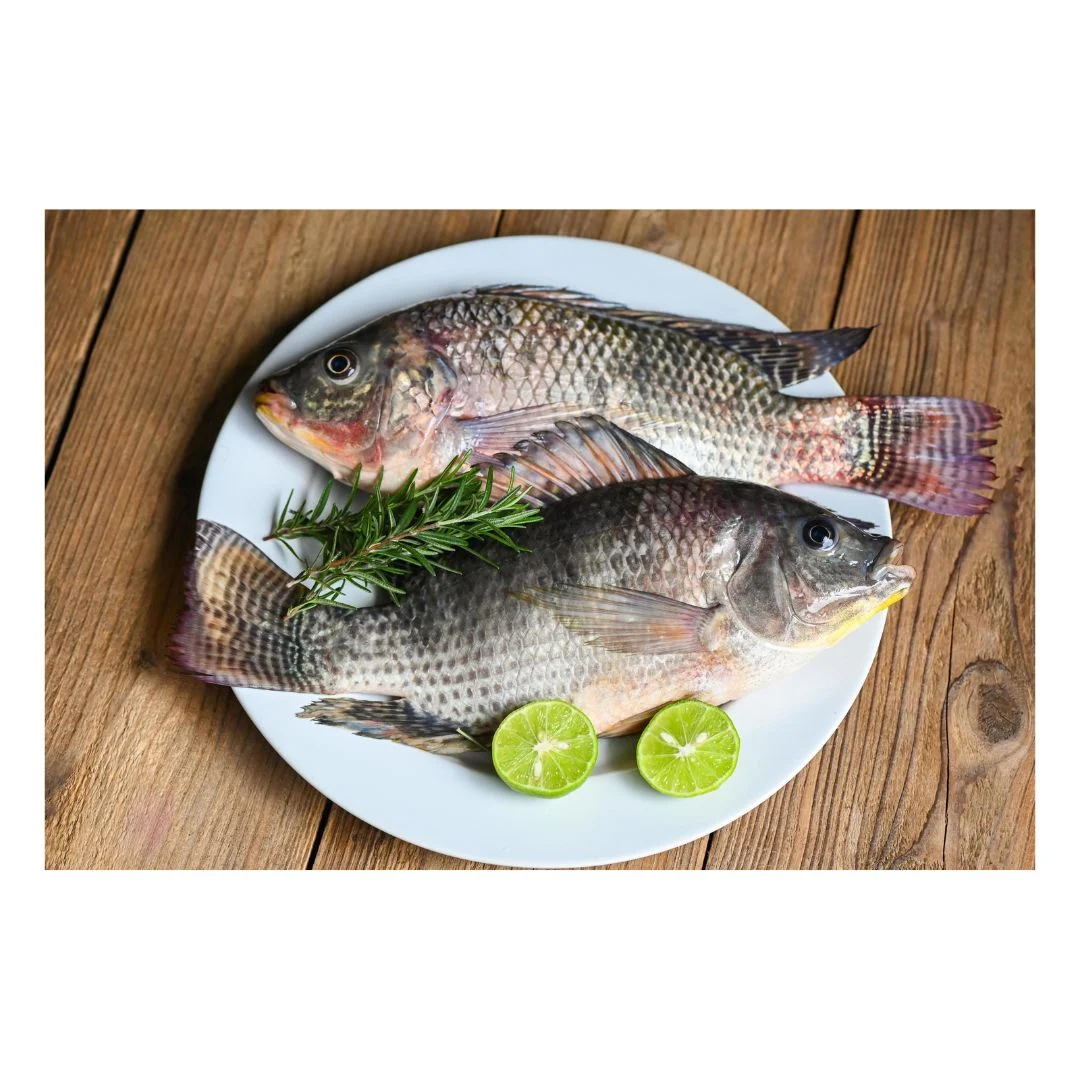Tilapia Whole Clean_0