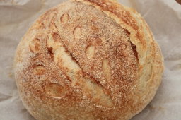PAN MASA MADRE