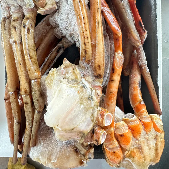 Namibian Golden Crab Sections_0