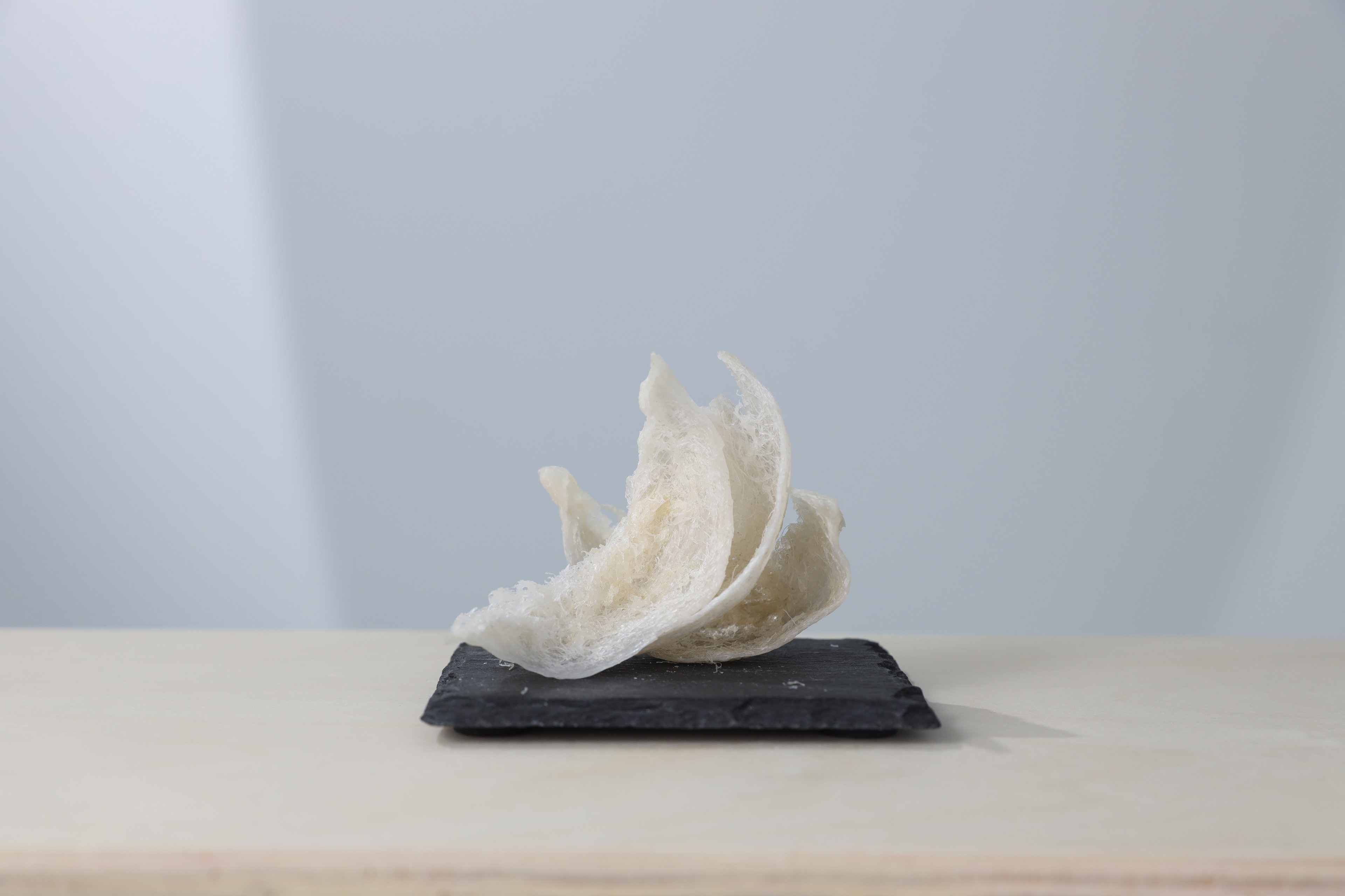 Royal Imperial Edible Bird's Nest (EBN)- Dried and Hand-Cleaned Premium Nest (50g)/(100g)_2